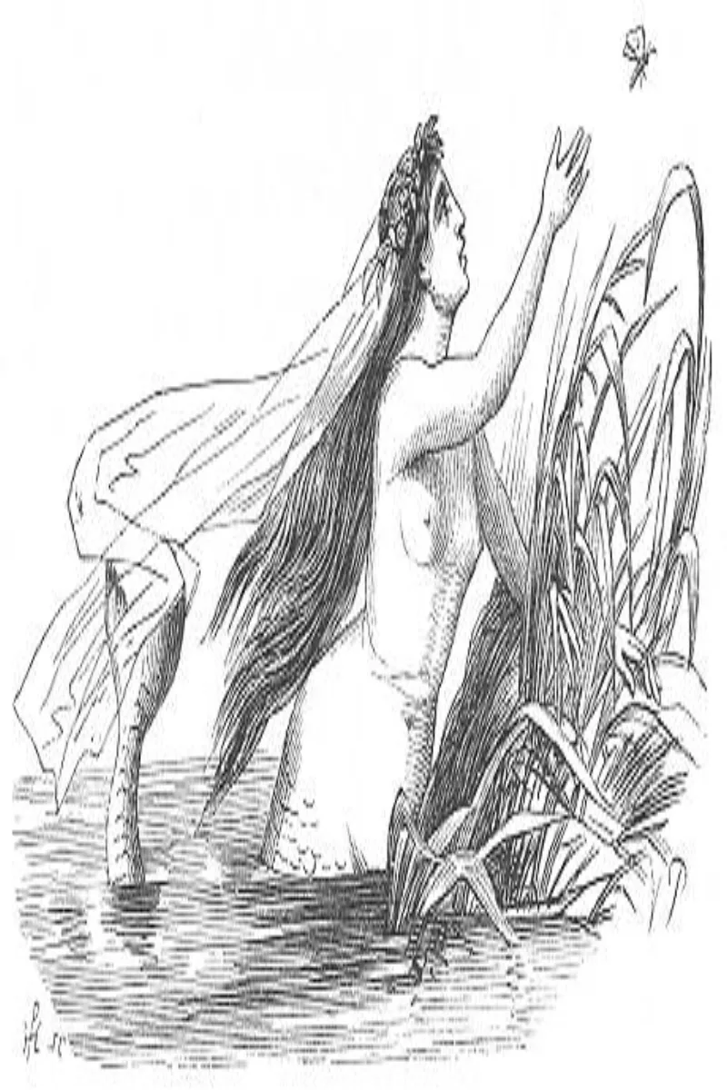 Cổ Tích Andersen & Perrault