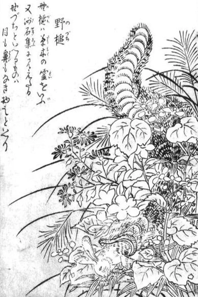 Thần Thoại Nhật Bản & Yokai